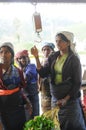 Sri Lanka Tea Picker women Royalty Free Stock Photo