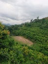 Sri lanka village cricket ground Royalty Free Stock Photo