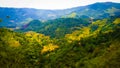 Green mountains with faddy fields