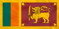 Sri Lanka waving flag. Sri Lanka national flag background texture