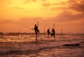 SRI LANKA WELIGAMA FISHERMEN