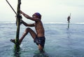 SRI LANKA WELIGAMA FISHERMEN