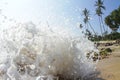 Sri Lanka Wild Beach Royalty Free Stock Photo