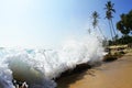 Sri Lanka Wild Beach Royalty Free Stock Photo