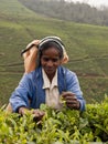 Sri lanka woman