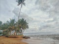 Sri Lankan beach side with coconut trees