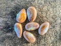 Jackfruit Seeds on wood background