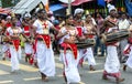 Sri Lankan Dancers and Gete Beraya(drum) players peform during the Hikkaduwa Perahara in Sri Lanka. Royalty Free Stock Photo