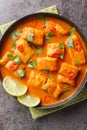 Sri Lankan Fish Curry, Thora Malu close up on a plate. Vertical top view Royalty Free Stock Photo