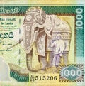 1000 Sri Lankan rupees money bill colored banknote