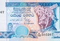 50 Sri Lankan rupees money bill. National currency of Sri Lanka