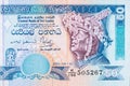 50 Sri Lankan rupees money bill. National currency of Sri Lanka