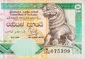 10 Sri Lankan rupees money bill colored banknote fragment