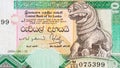10 Sri Lankan rupees money bill colored banknote fragment