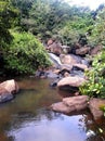 Sri lankan small waterfall Royalty Free Stock Photo