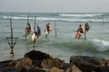 Sri Lankan traditional fisherman. Silt fishing style in Sri Lanka Royalty Free Stock Photo