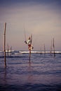 Sri Lankan traditional fisherman on stick in the Indian ocean