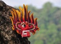 Sri Lankan traditional mask Royalty Free Stock Photo