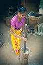 Sri Lankan woman working the rice