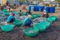 Sri Lankan women sort the caught fish. Negombo