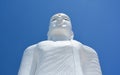 The Sri Maha Bodhi Temple At Bahirawakanda, Kandy Royalty Free Stock Photo