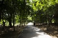 Sri Nakhon Khuean Khan Park and Botanical Garden or khung bang kachao park Royalty Free Stock Photo