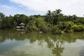 Sri Nakhon Khuean Khan Park and Botanical Garden or khung bang kachao park