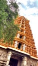 The Srikanteshwara Temple also called Nanjundeshwara Temple is an ancient temple in the Hindu pilgrimage town of Nanjangud in th