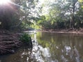 Srilankan beautiful river in Kabilitta Dewalaya Kubukkan Oya Royalty Free Stock Photo