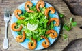 Srimp lettuce salad on blue plate, wooden rustic background Royalty Free Stock Photo