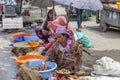 Indian woman working at fish street market in Srinagar, Jammu and Kashmir state, India Royalty Free Stock Photo