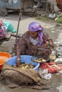 Indian woman working at fish street market in Srinagar, Jammu and Kashmir state, India Royalty Free Stock Photo