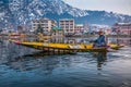 Local Kashmiri man driving Shikara in Dal Lake, Srinagar, Kashmir, India Royalty Free Stock Photo