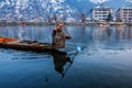 Local Kashmiri man driving Shikara in Dal Lake, Srinagar, Kashmir, India Royalty Free Stock Photo