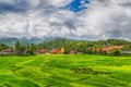 Sriphochai and Rice of Na Haeo District.