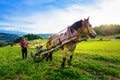 Sromowce Wyzne, Poland - - August 27/2015; Farmer cultivates the soil with a horse in a mountainous area