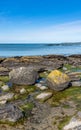 Penrhos Nature reserve, Anglesey, North Wales, UK