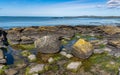 Penrhos Nature reserve, Anglesey, North Wales, UK