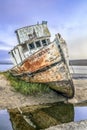 SS Point Reyes Shipwreck - Inverness, California