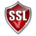 SSL encryption icon - IT computer internet online security