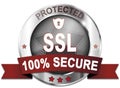 Ssl protected 100% secure button Royalty Free Stock Photo