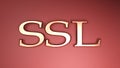 SSL Secure Socket Layer copper on red background - 3D rendering illustration