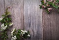 SSpring Flowers hawthorn on background of old vintage blue board Royalty Free Stock Photo