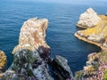 St Abbs Head, Scotland