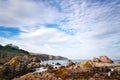 St. Abbs, Scotland Royalty Free Stock Photo