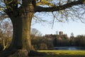 St. Albans Cathedral Viewed from Verulamium Park Royalty Free Stock Photo