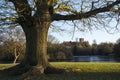 St. Albans Cathedral Viewed from Verulamium Park Royalty Free Stock Photo