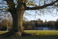 St. Albans Cathedral Viewed from Verulamium Park