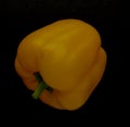 Closeup photograph of capsicum pepper