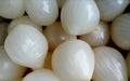 Closeup photograph of pickled silverskin onions. Royalty Free Stock Photo